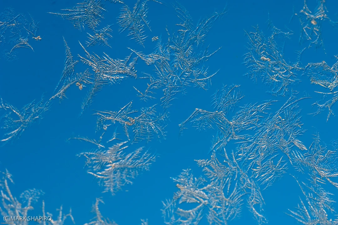 Elements-Window Frost-28
