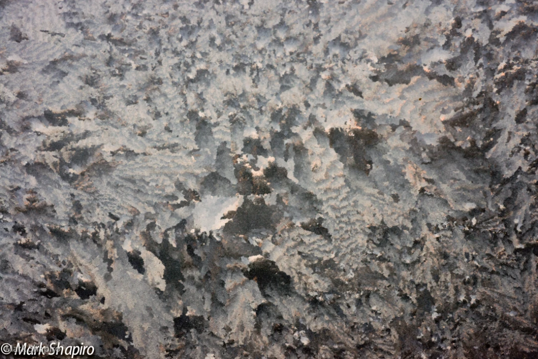 Elements-Window Frost-284