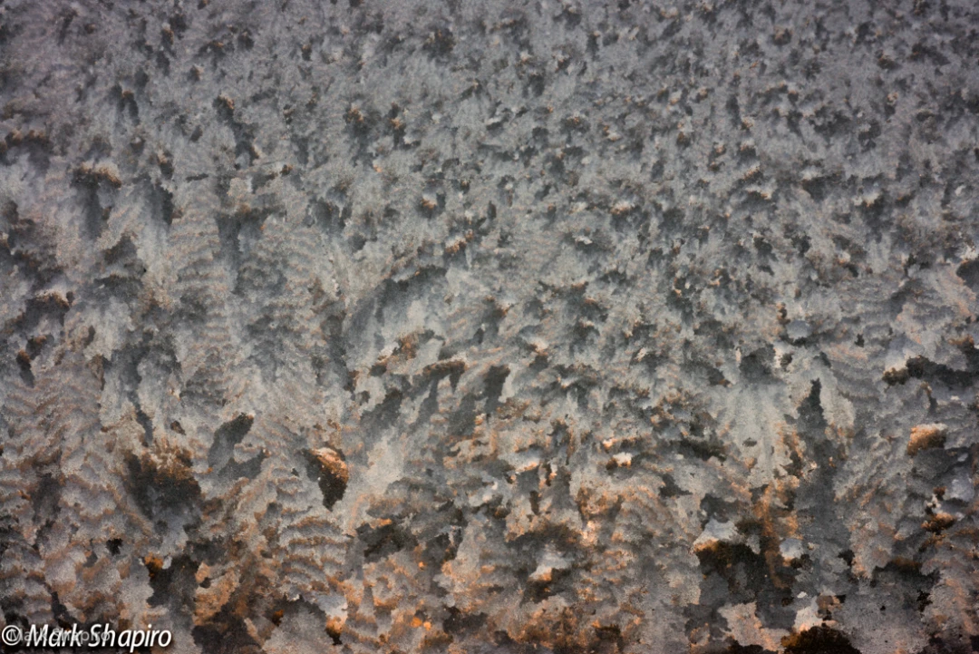 Elements-Window Frost-288