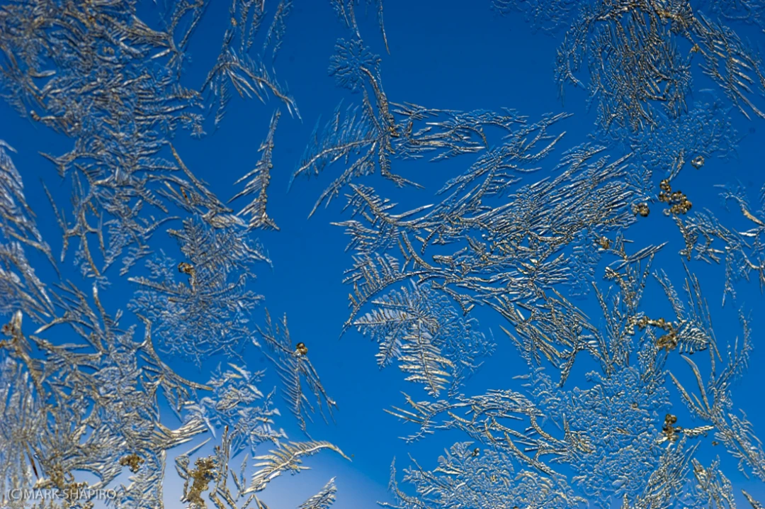 Elements-Window Frost-29