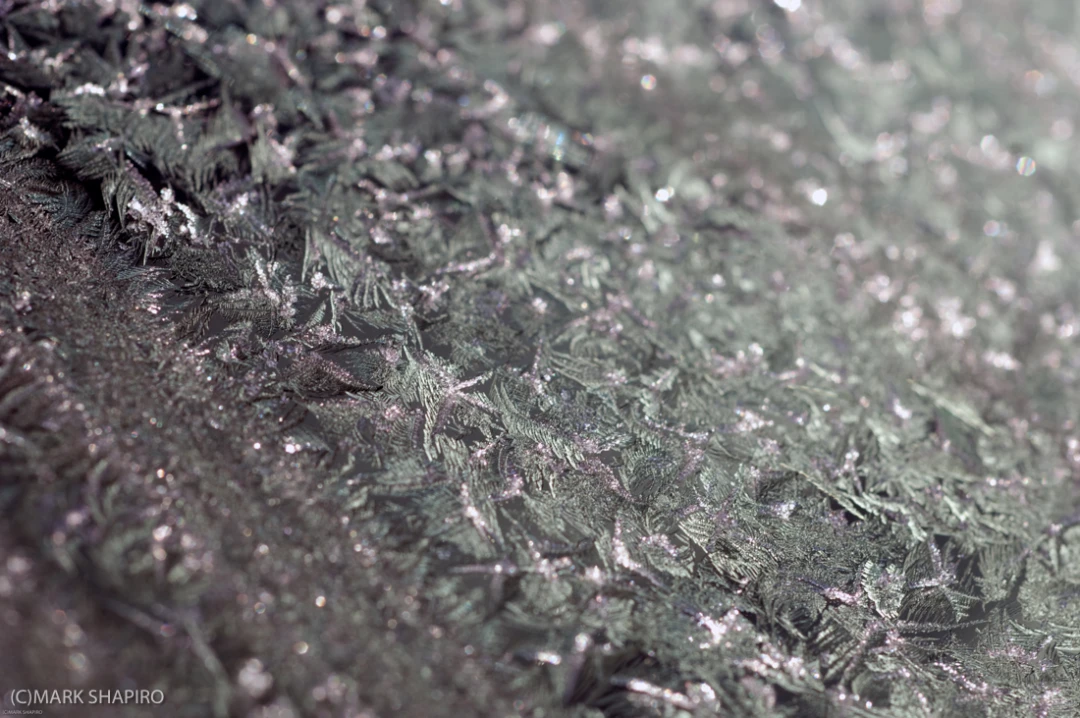 Elements-Window Frost-38