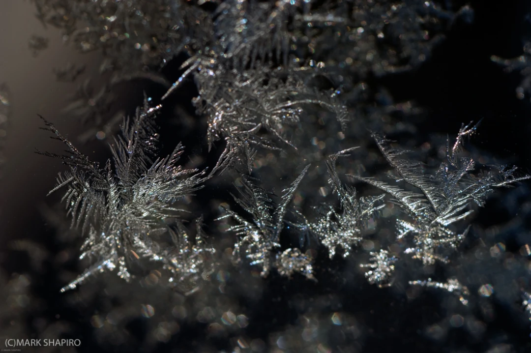 Elements-Window Frost-4