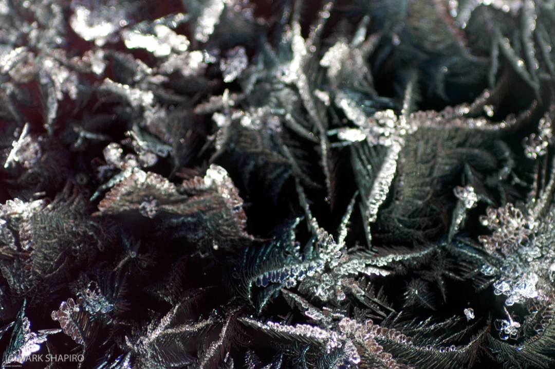 Elements-Window Frost-42