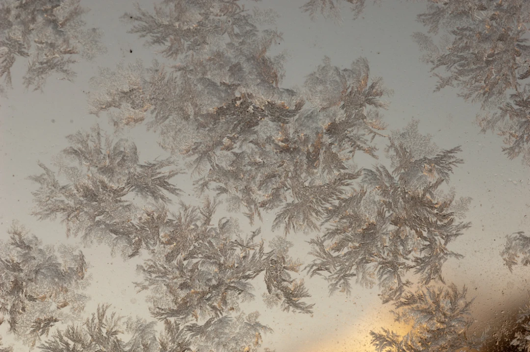 Elements-Window Frost-71