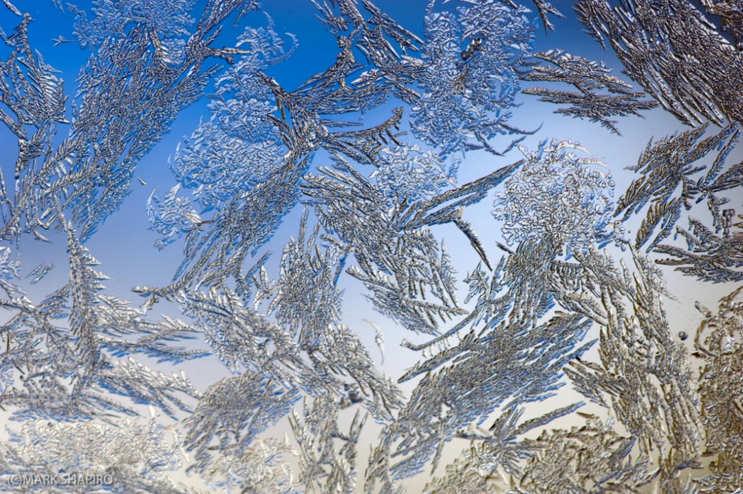 Elements-Window Frost-8