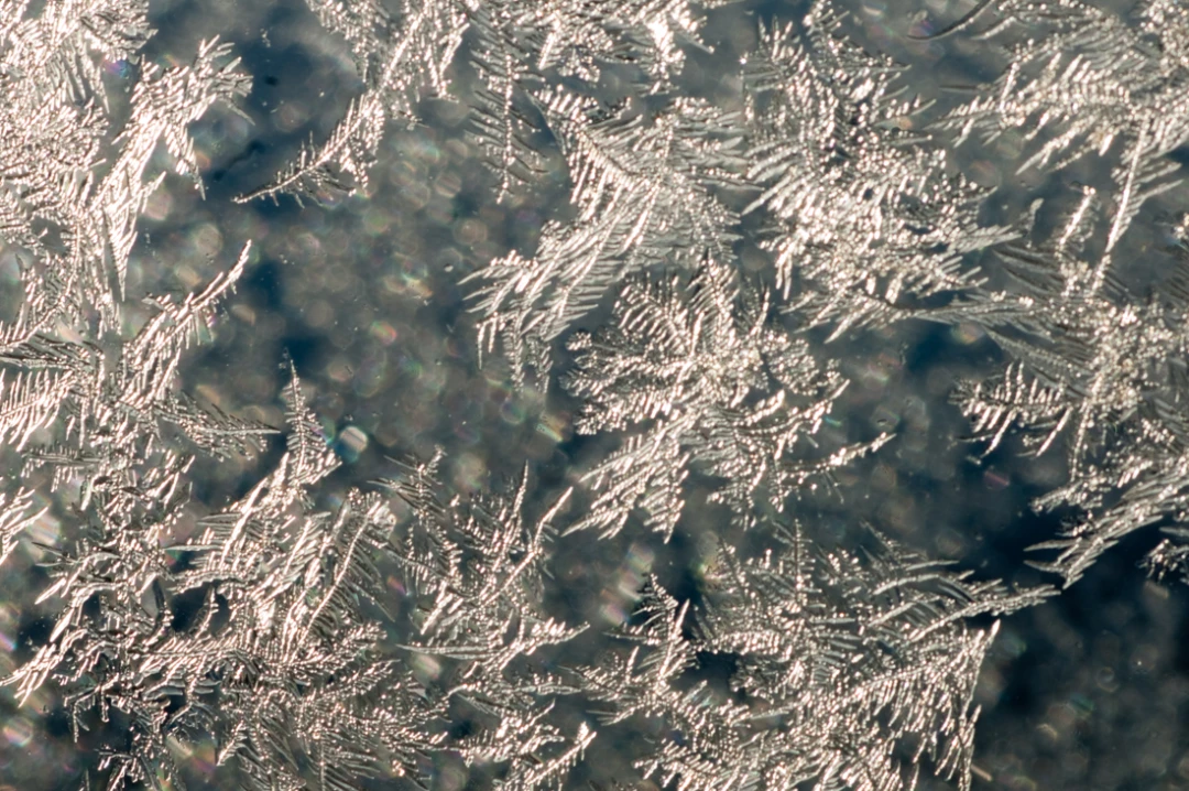 Elements-Window Frost-83