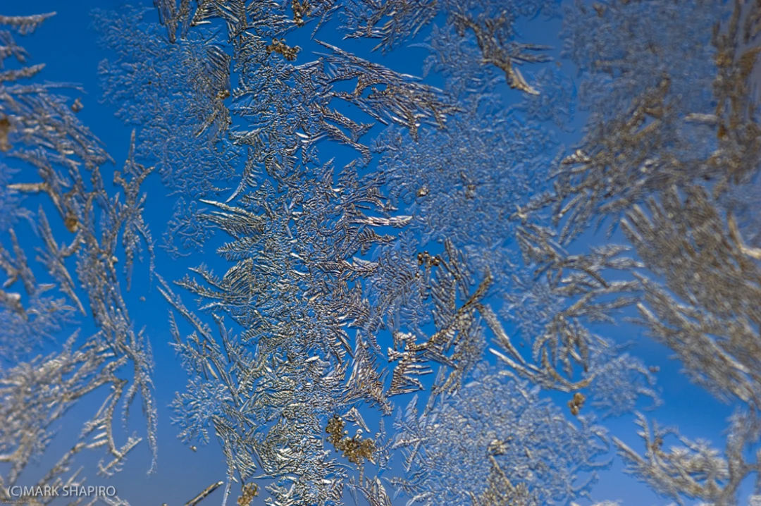 Elements-Window Frost-9