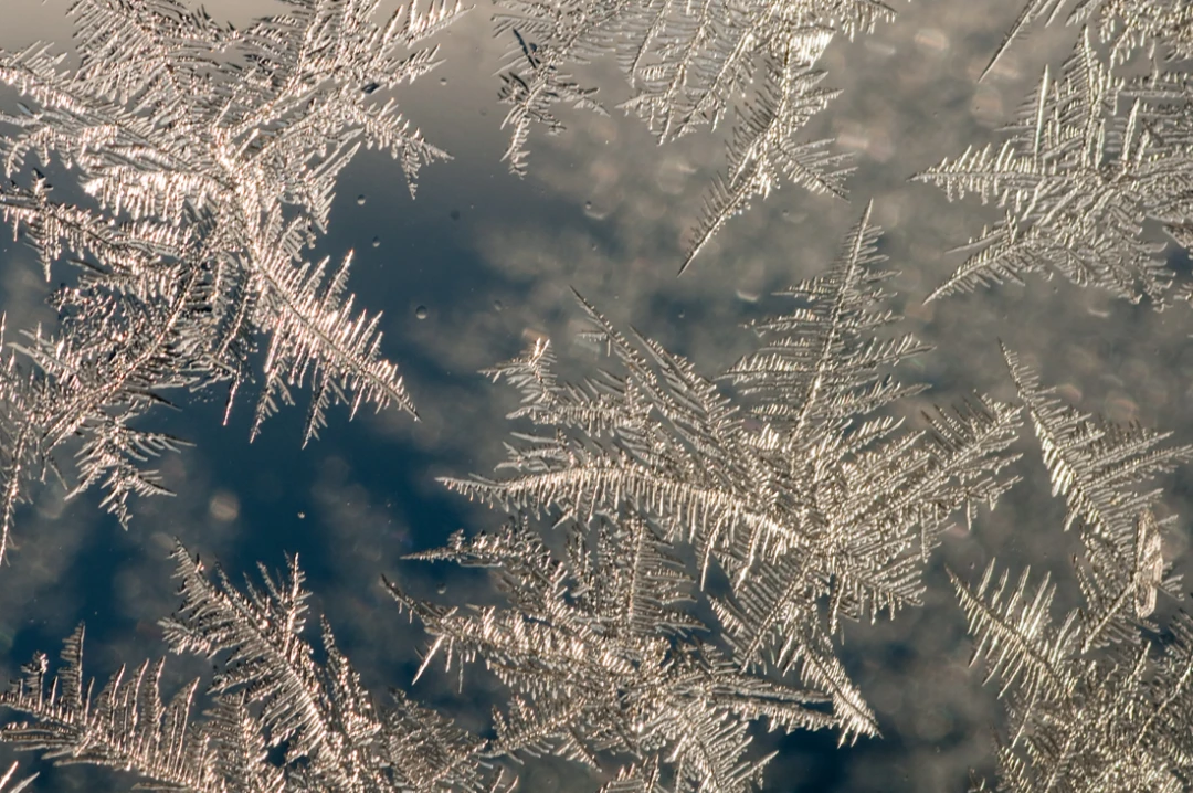 Elements-Window Frost-95