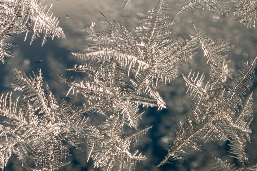 Elements-Window Frost-96
