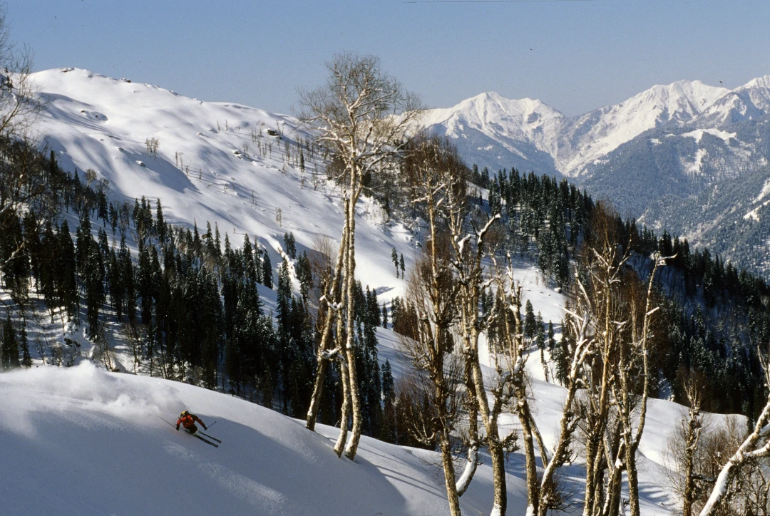 Himachal118