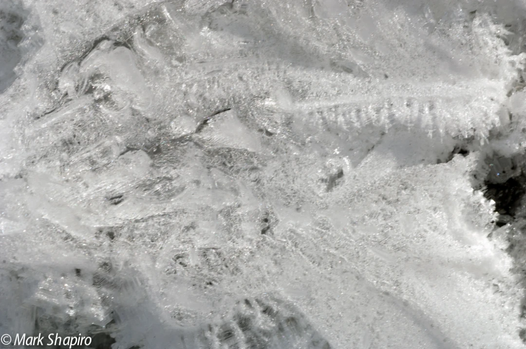 Ice-19