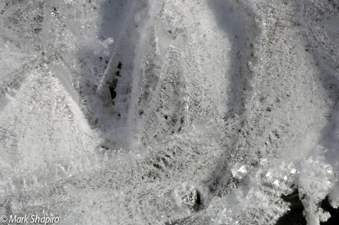 Ice-20