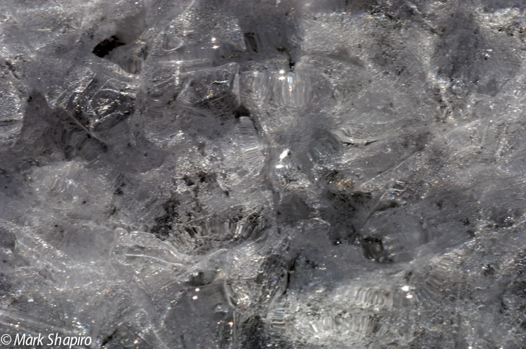 Ice-21