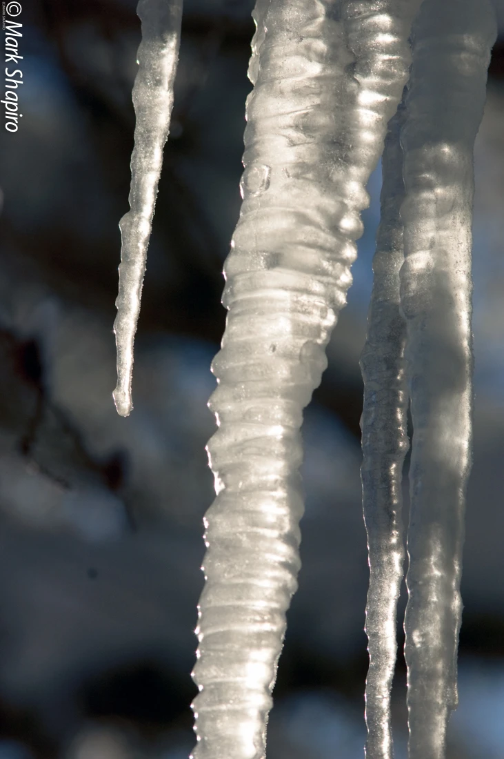 Ice-25