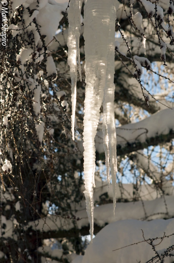 Ice-26