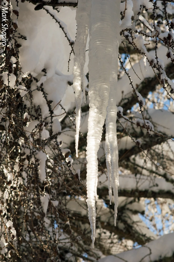 Ice-27