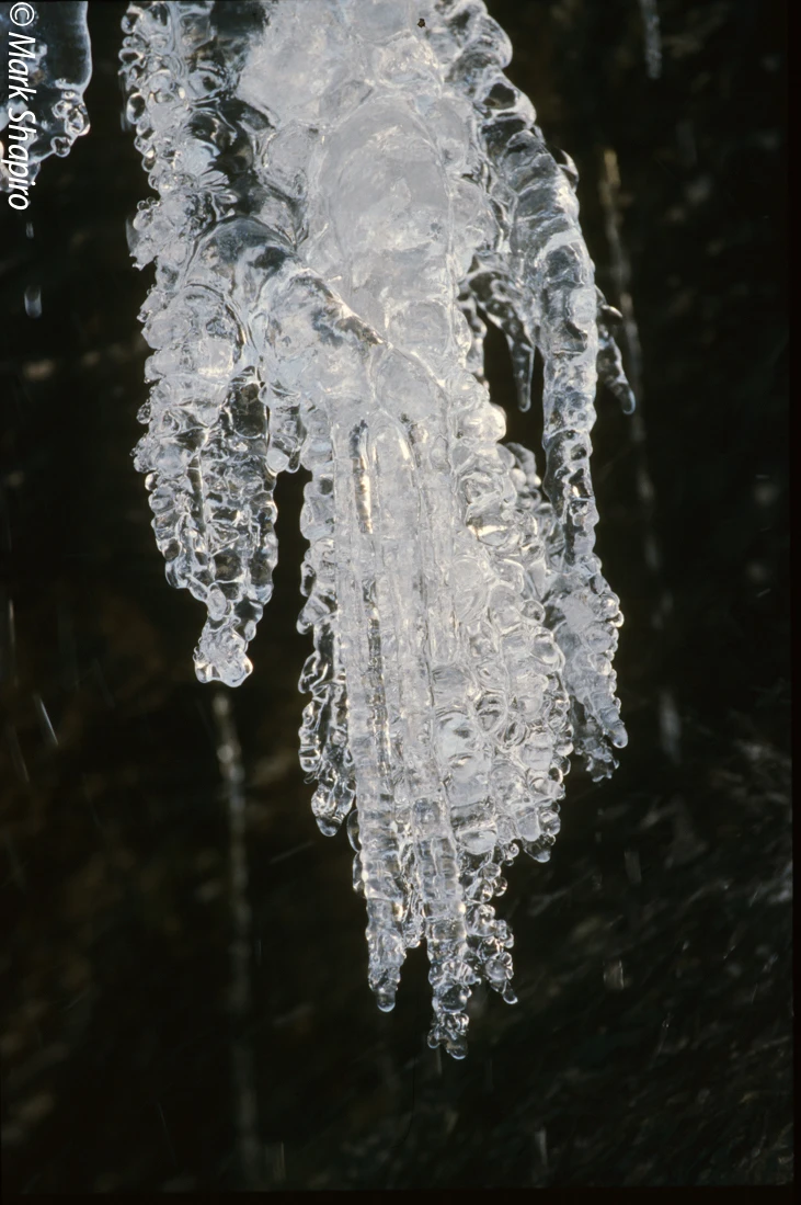 Ice-33