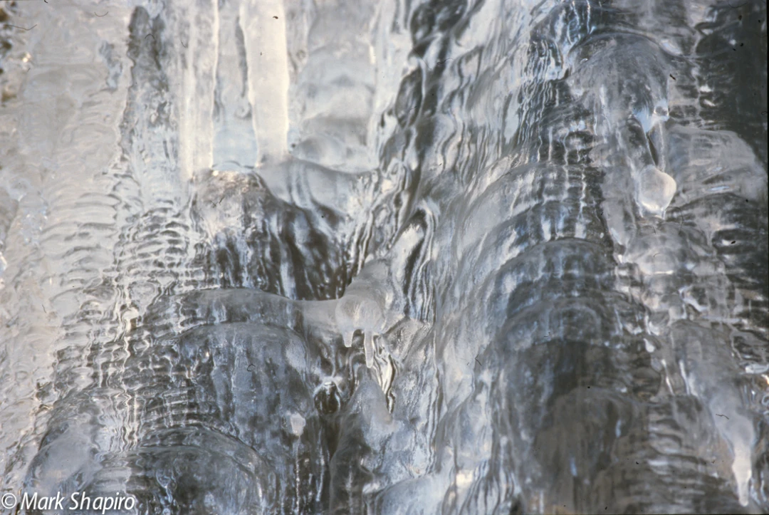 Ice-36