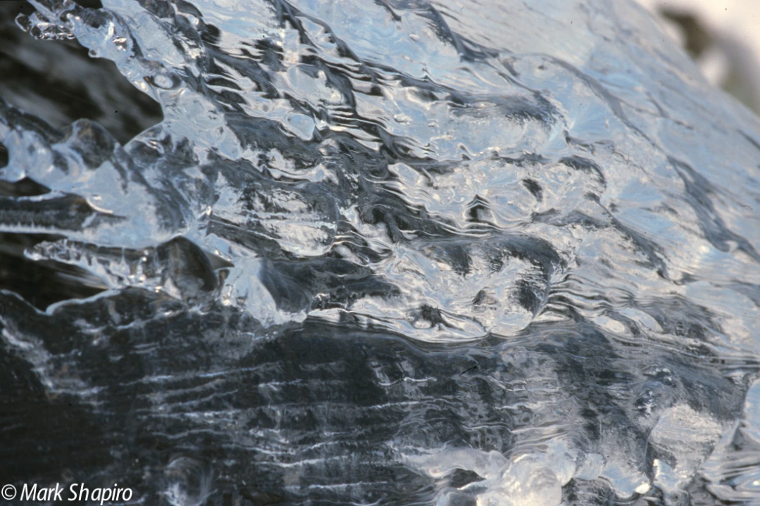 Ice-38
