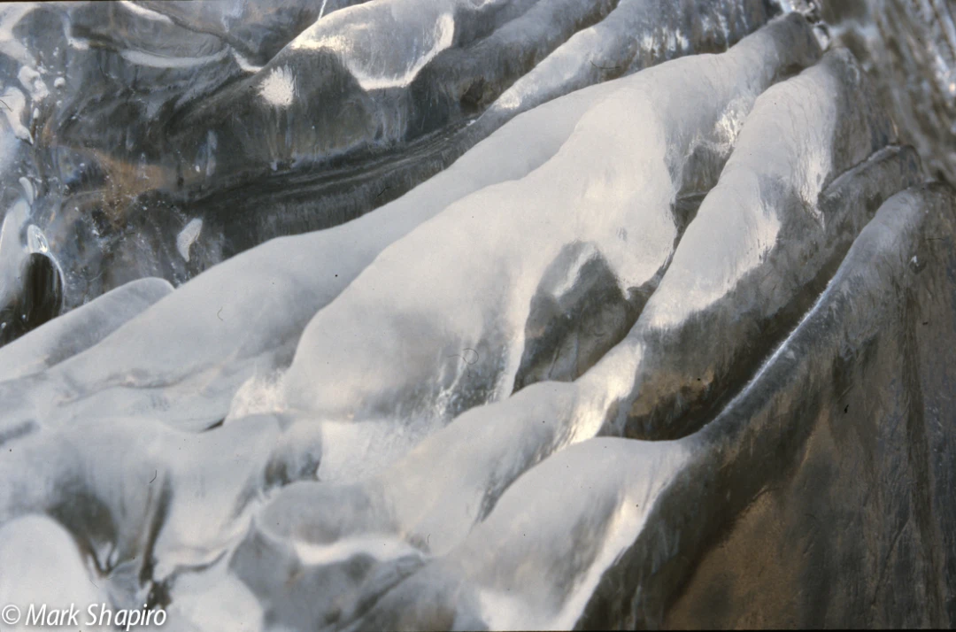 Ice-39