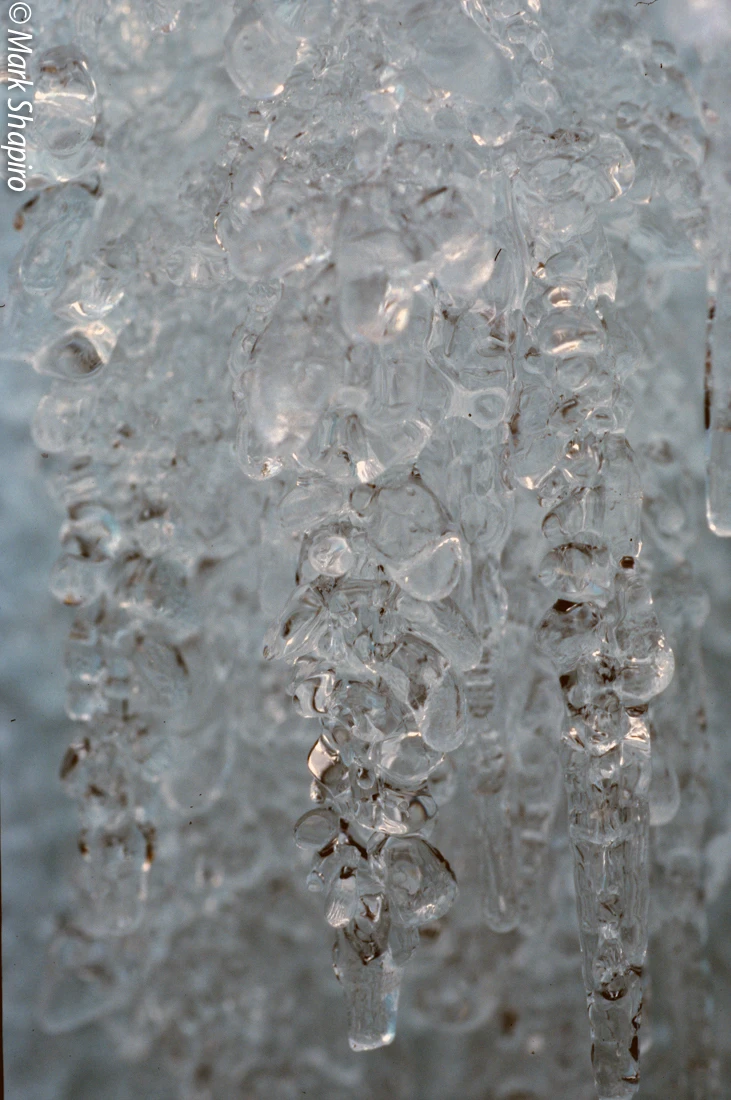 Ice-42