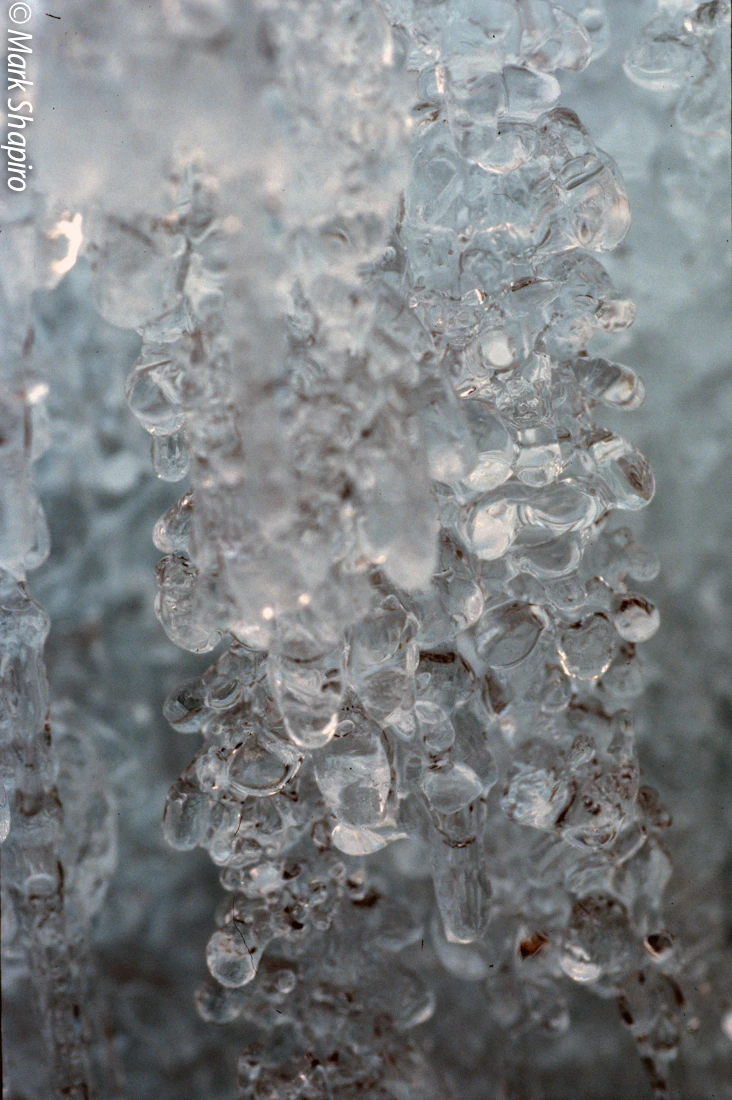Ice-45