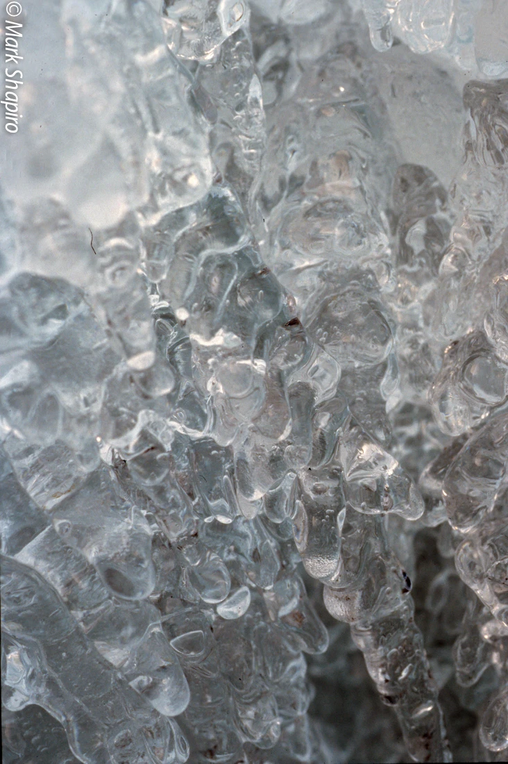 Ice-46