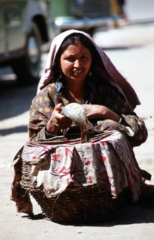 Kashmir06