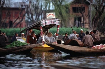 Kashmir08