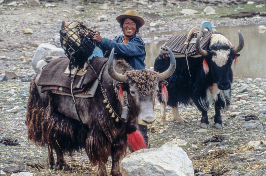 Mt. Everest Troillet-Perret Exp. 1996-54-28