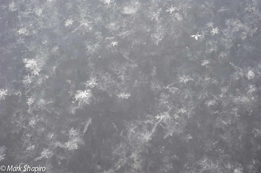 Powder Snow-10