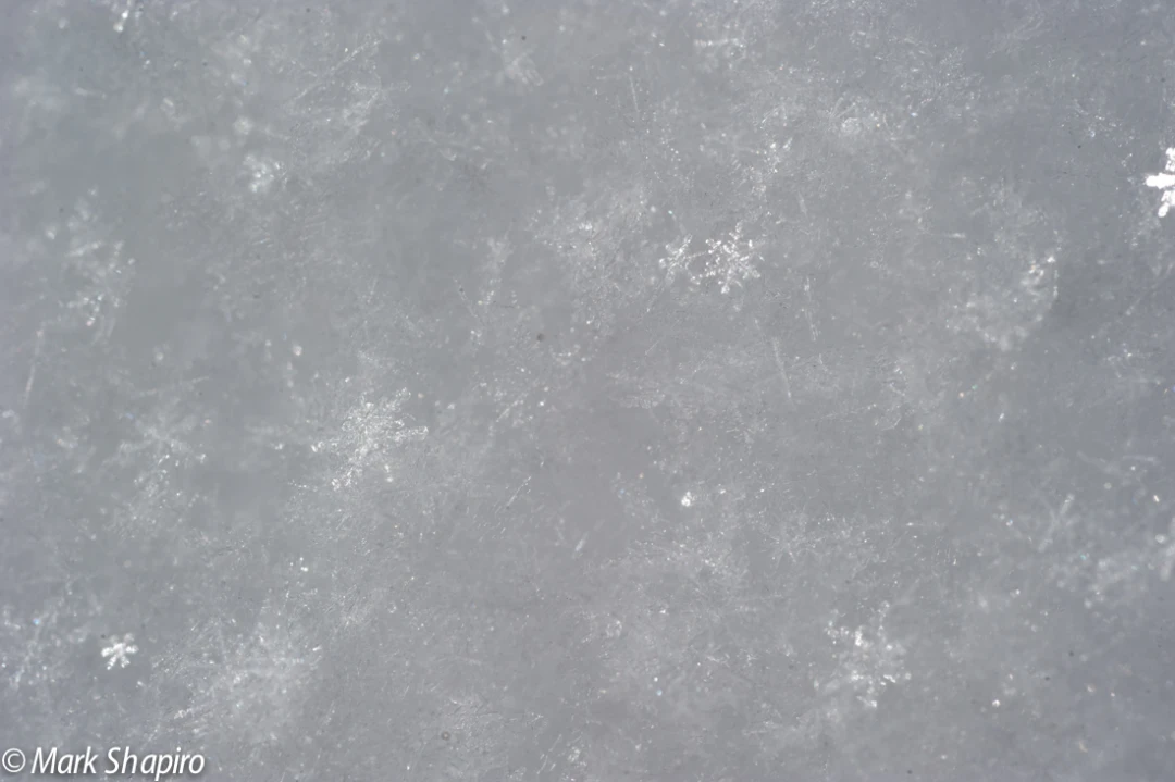 Powder Snow-11