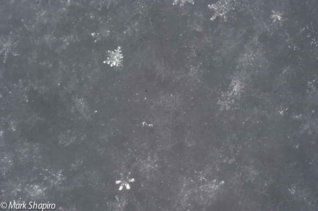 Powder Snow-12
