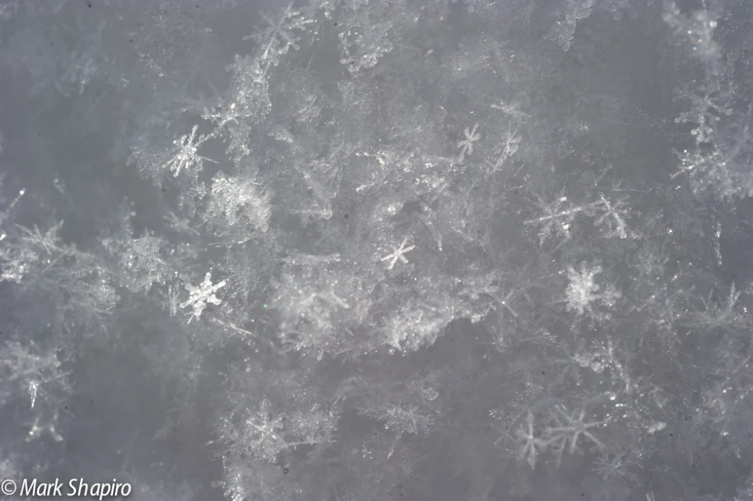 Powder Snow-14