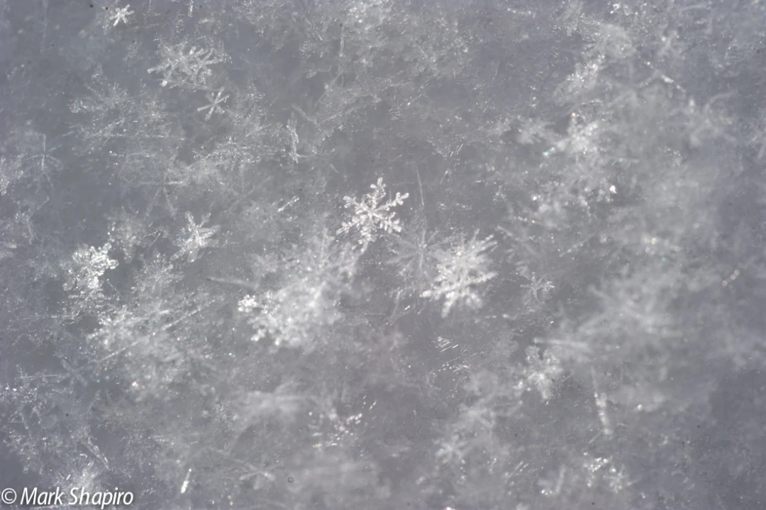 Powder Snow-15