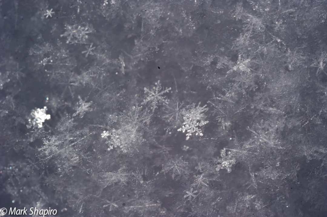 Powder Snow-16