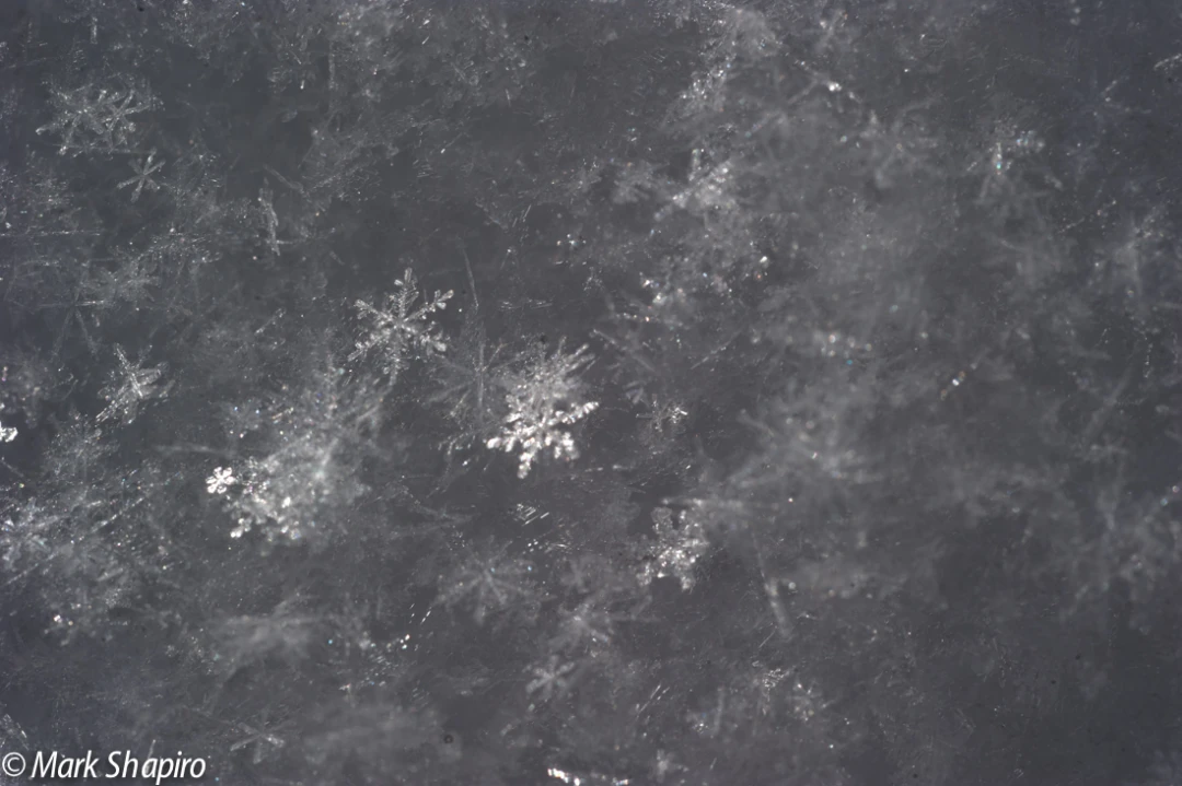 Powder Snow-17