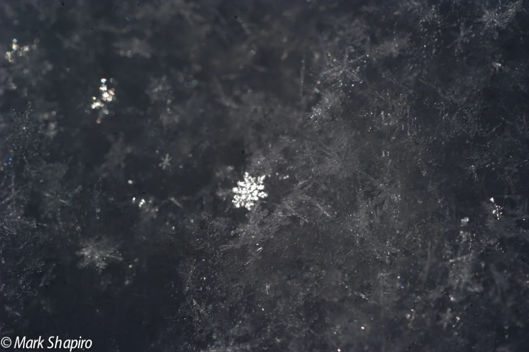 Powder Snow-18