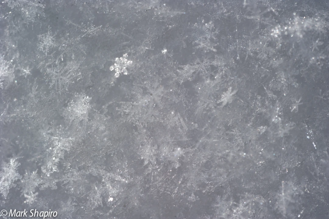 Powder Snow-19