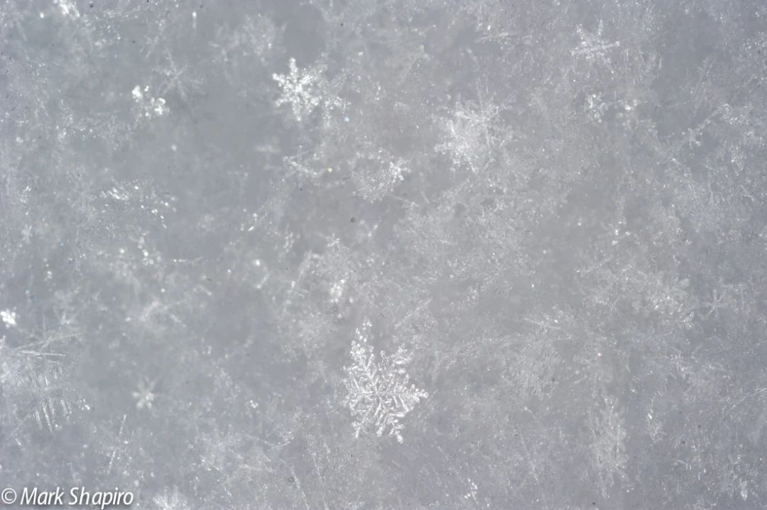 Powder Snow-20