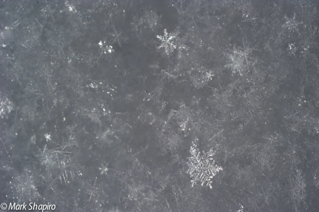 Powder Snow-21