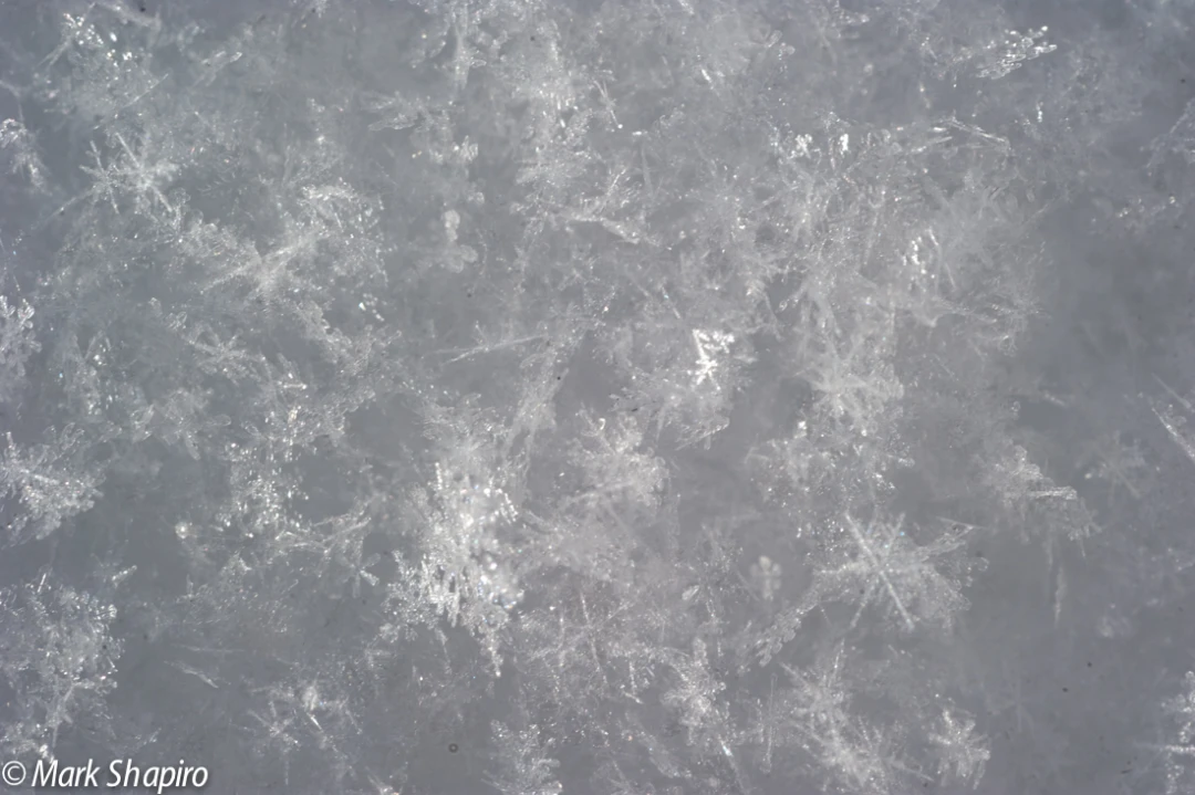 Powder Snow-22