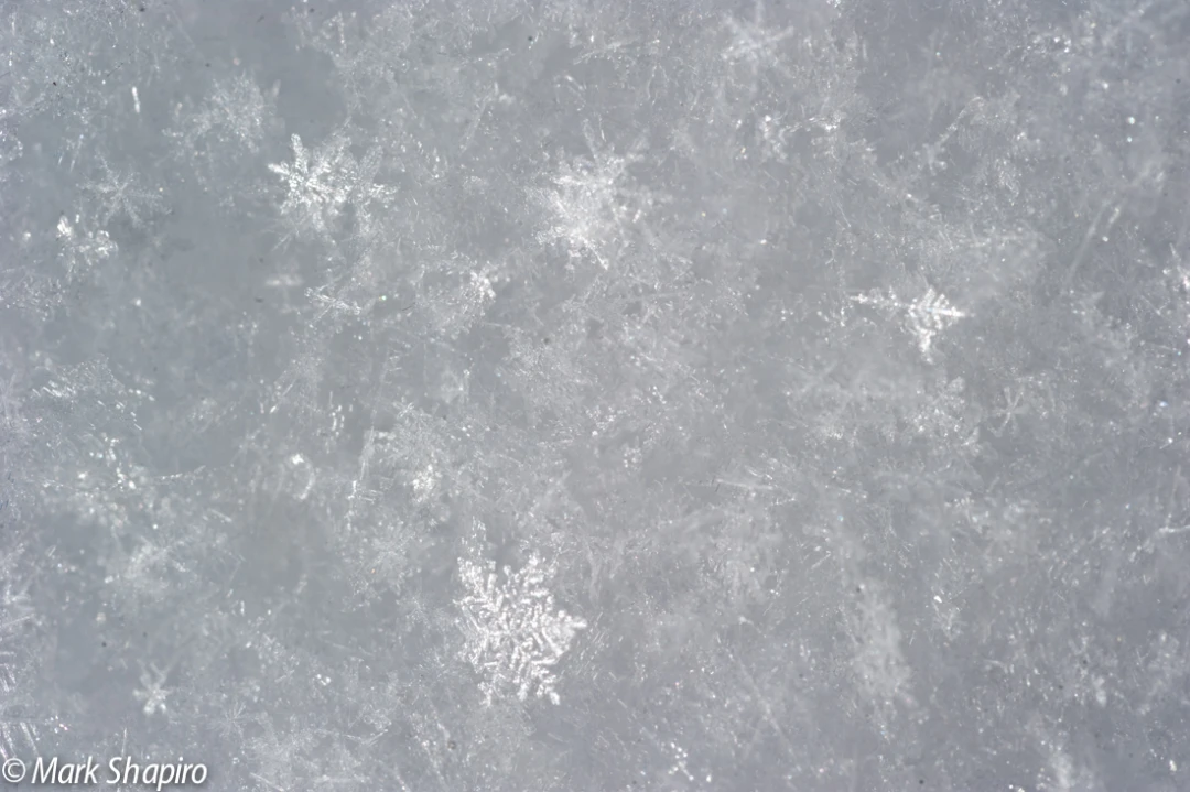 Powder Snow-23