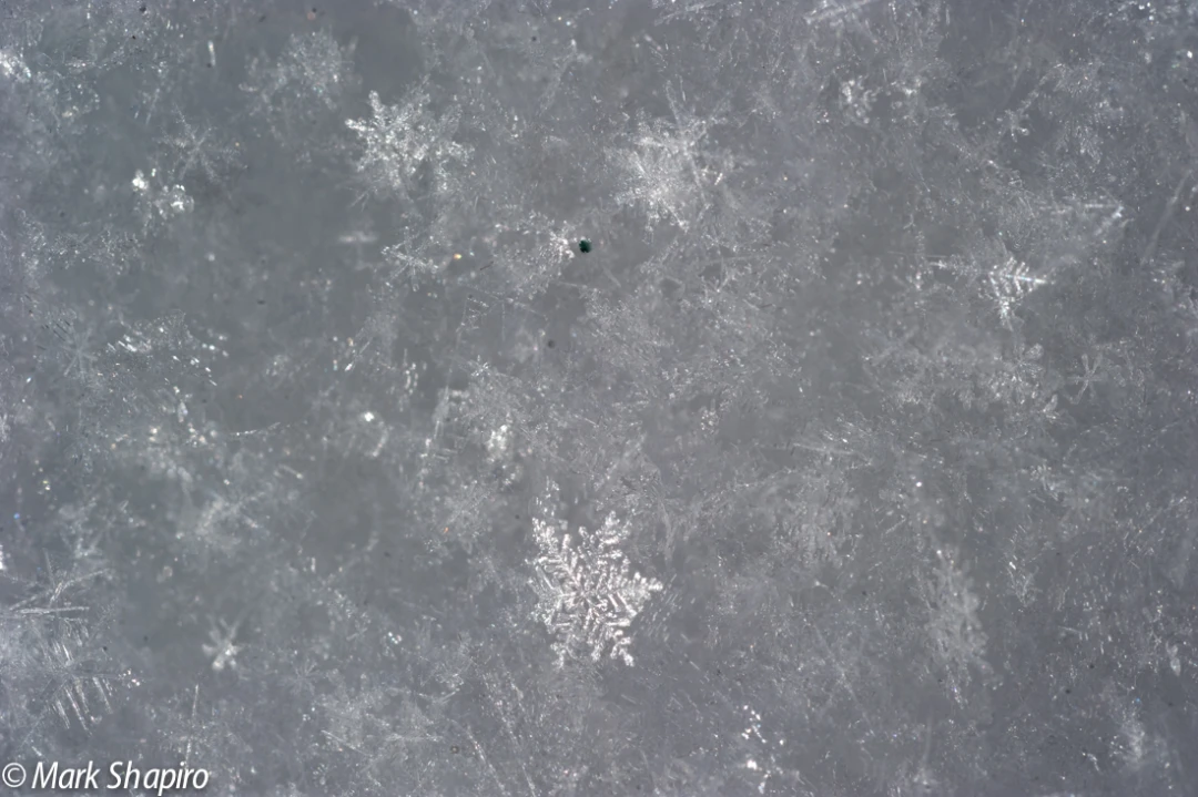Powder Snow-24
