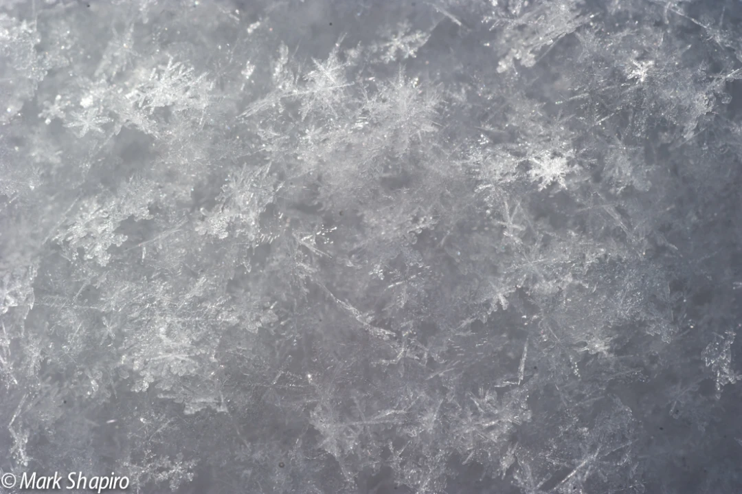 Powder Snow-25