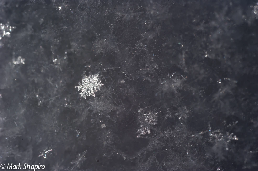 Powder Snow-26