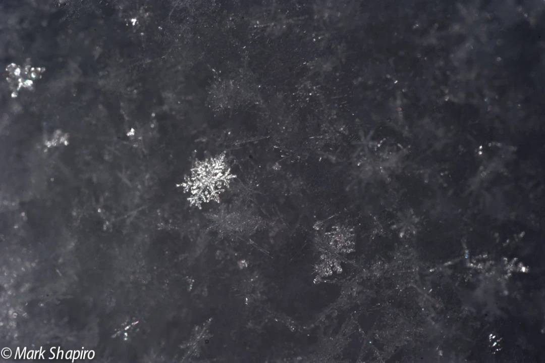 Powder Snow-27