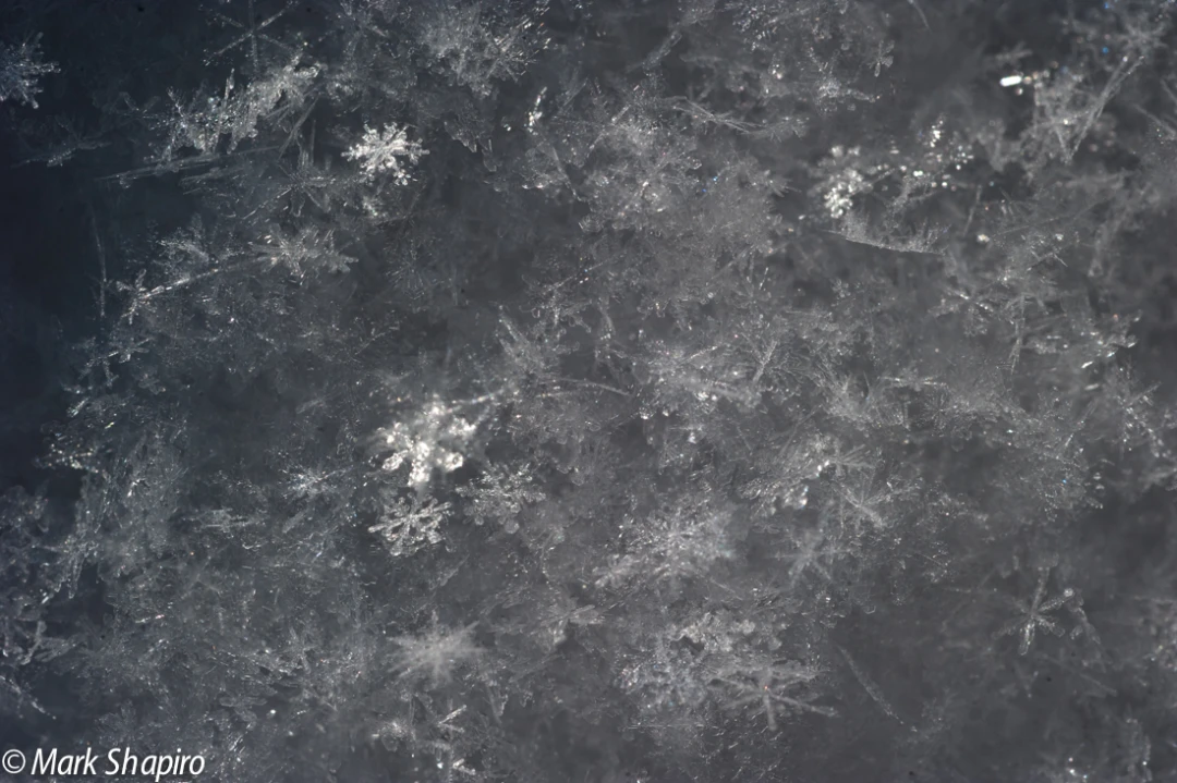 Powder Snow-28