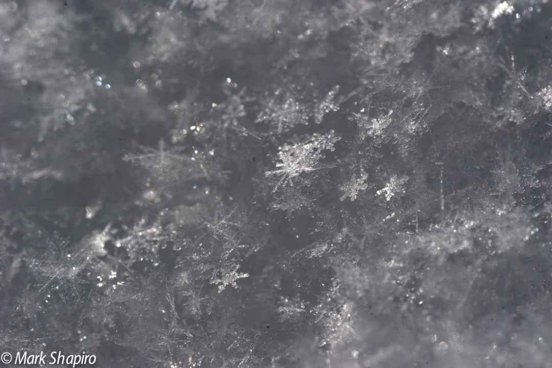Powder Snow-29