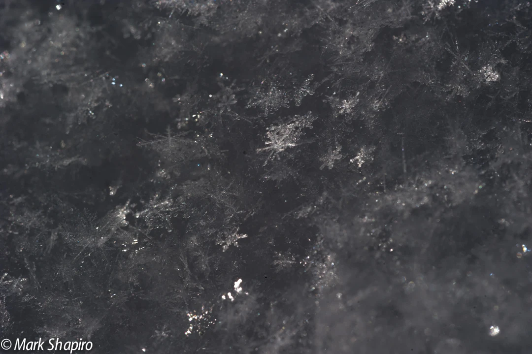 Powder Snow-30
